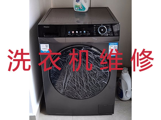 揭阳专业维修洗衣机